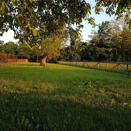Locanda Veneta วิเชนซา ภายนอก รูปภาพ